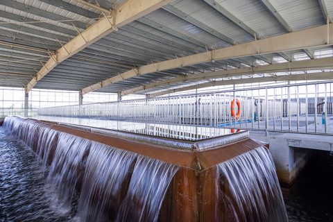 怎么保养多职能微型过滤机？